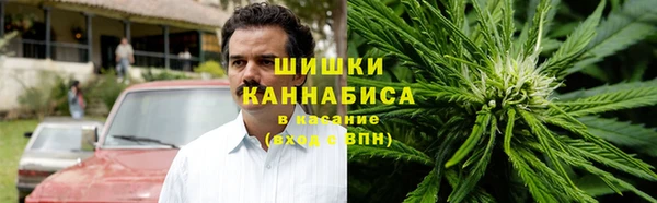 эйфоретик Бикин