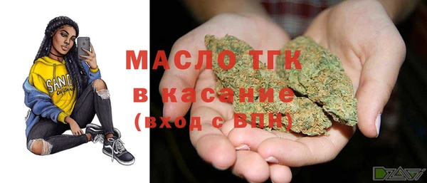 дмт Карпинск