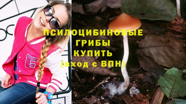 тгк Беслан