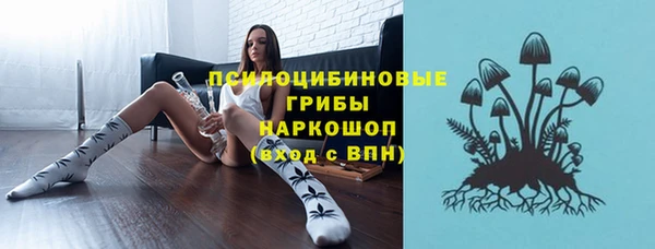 дмт Карпинск