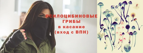 ГАЛЛЮЦИНОГЕННЫЕ ГРИБЫ Киренск