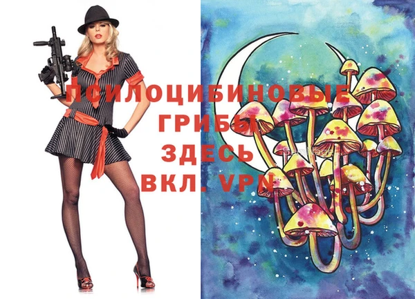 дмт Карпинск