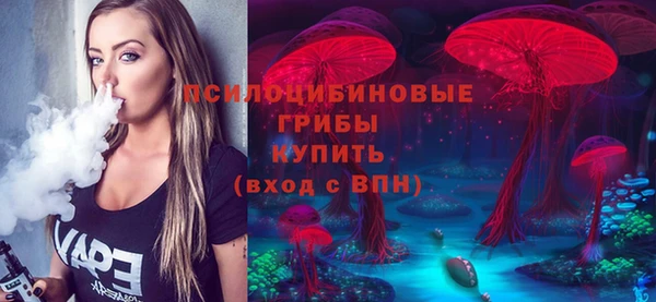 марки lsd Каменногорск
