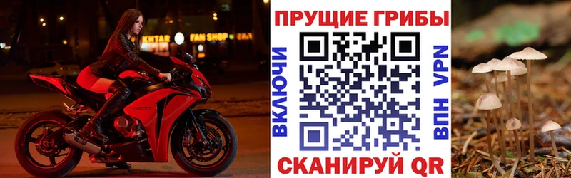 Галлюциногенные грибы GOLDEN TEACHER  Касли 